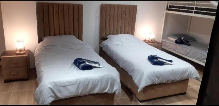 Ze Luxurious House Paris - De Luxe Holiday home